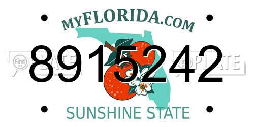 8915242 Florida License Plate