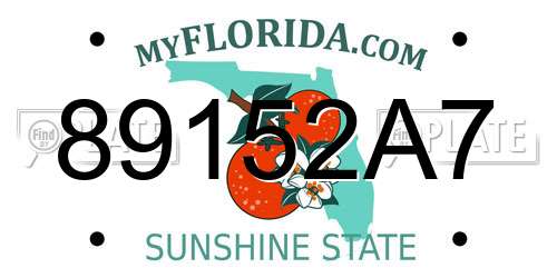 89152A7 Florida License Plate