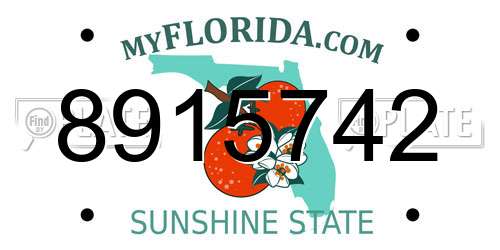 8915742 Florida License Plate