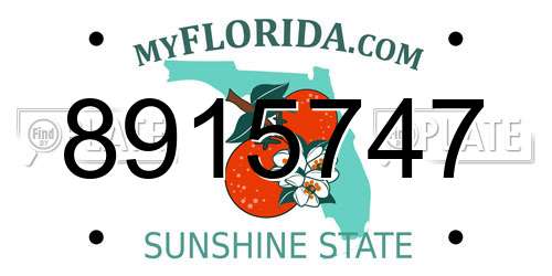 8915747 Florida License Plate