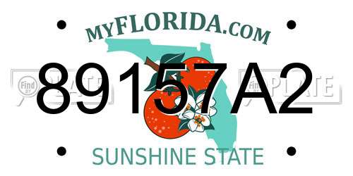 89157A2 Florida License Plate