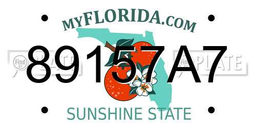 89157A7 Florida License Plate
