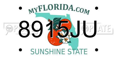 8915JU Florida License Plate