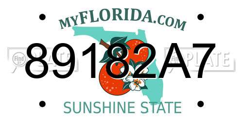 89182A7 Florida License Plate
