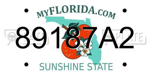 89187A2 Florida License Plate