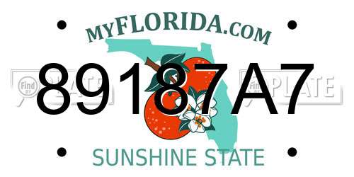 89187A7 Florida License Plate