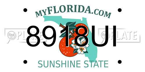 8918UI Florida License Plate