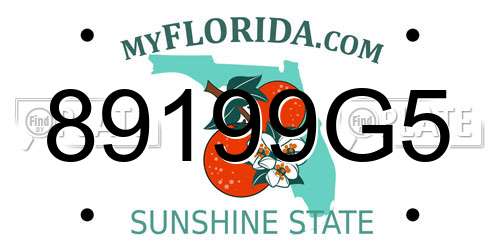 89199G5 Florida License Plate