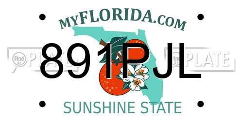 891PJL Florida License Plate