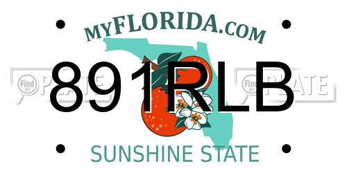 891RLB Florida License Plate