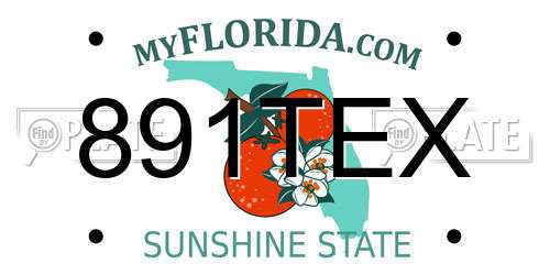 891TEX Florida License Plate
