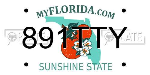 891TTY Florida License Plate