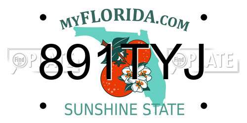 891TYJ Florida License Plate