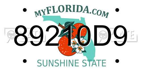 89210D9 Florida License Plate