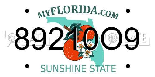 89210O9 Florida License Plate
