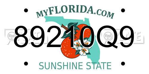 89210Q9 Florida License Plate
