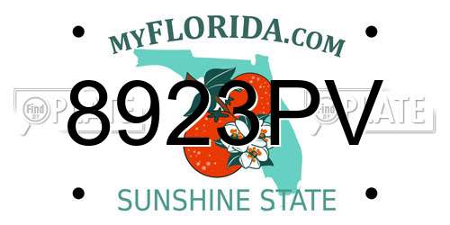 8923PV Florida License Plate