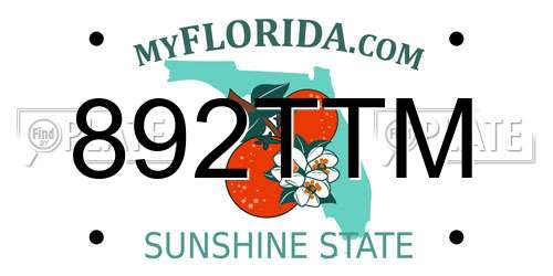 892TTM Florida License Plate