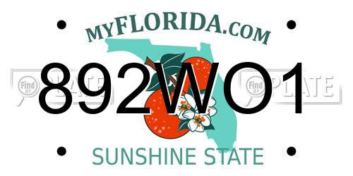 892WO1 Florida License Plate
