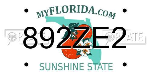 892ZE2 Florida License Plate