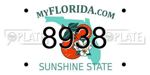 8938 Florida License Plate