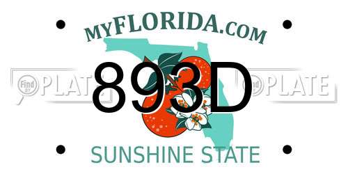 893D Florida License Plate