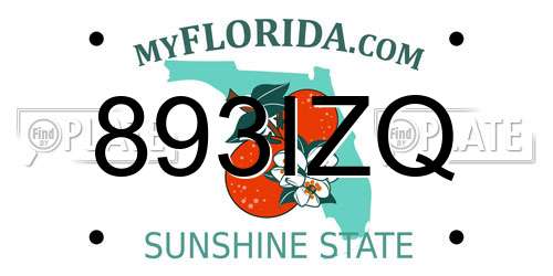 893IZQ Florida License Plate