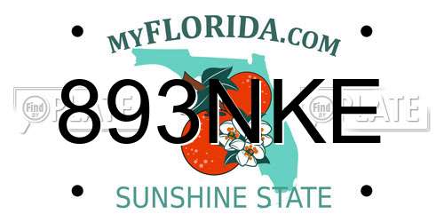 893NKE Florida License Plate