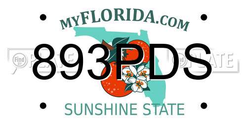 893PDS Florida License Plate