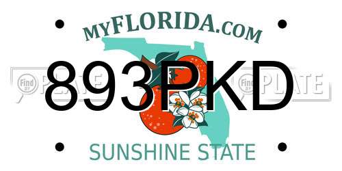 893PKD Florida License Plate