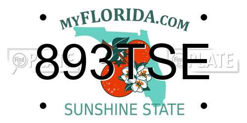 893TSE Florida License Plate