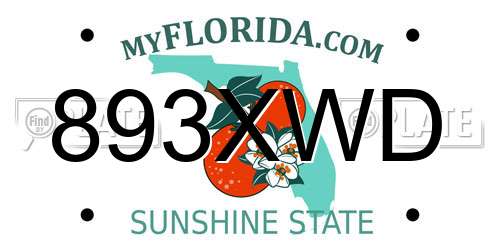 893XWD Florida License Plate