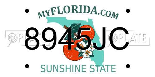 8945JC Florida License Plate