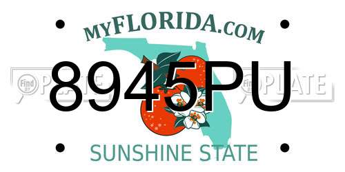 8945PU Florida License Plate