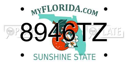 8946TZ Florida License Plate