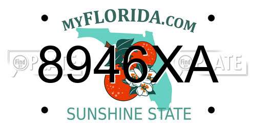 8946XA Florida License Plate