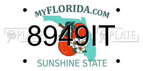 8949IT Florida License Plate
