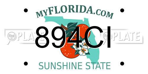 894CI Florida License Plate