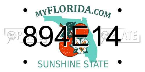 894E14 Florida License Plate