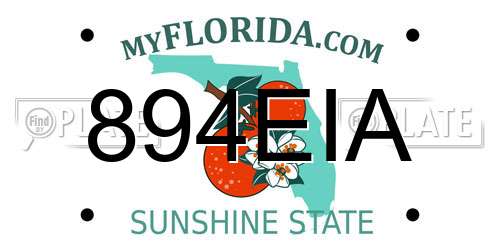 894EIA Florida License Plate
