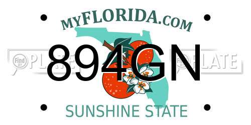 894GN Florida License Plate