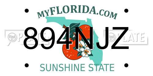 894NJZ Florida License Plate