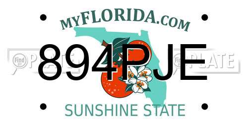 894PJE Florida License Plate