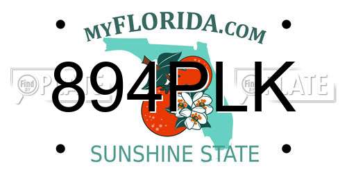 894PLK Florida License Plate