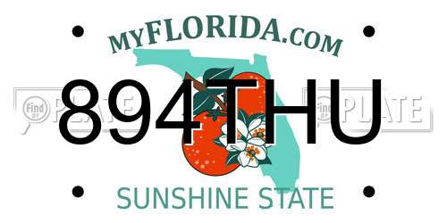 894THU Florida License Plate