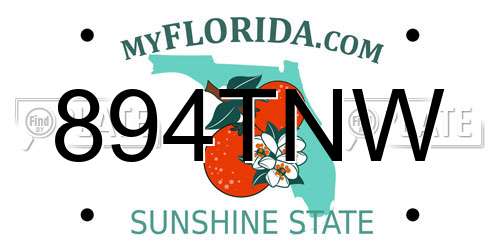 894TNW Florida License Plate