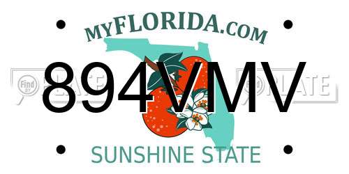 894VMV Florida License Plate