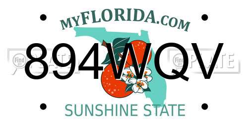 894WQV Florida License Plate
