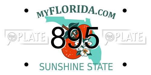 895 Florida License Plate