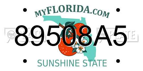 89508A5 Florida License Plate